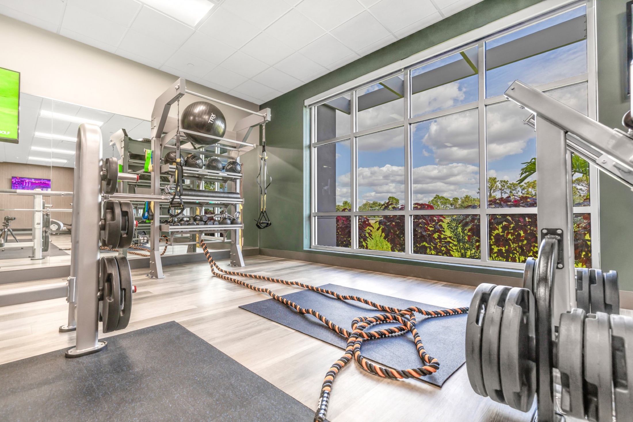 Free-weight area with rope and mirrored wall